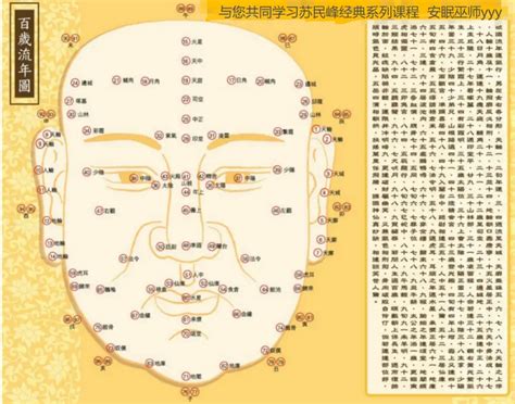 峰生水起精读班|「峰」生水起精讀班